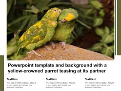 Powerpoint template and background with a yellow crowned parrot teasing at its partner