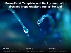 Powerpoint template and background with abstract drops on plant and spider web