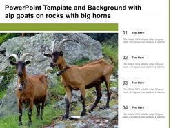 Powerpoint template and background with alp goats on rocks with big horns