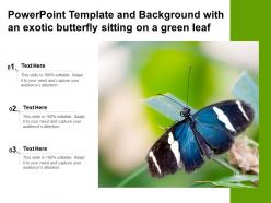 Powerpoint template and background with an exotic butterfly sitting on a green leaf