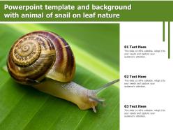 Powerpoint template and background with animal of snail on leaf nature