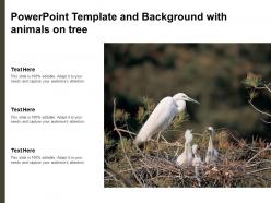 Powerpoint template and background with animals on tree