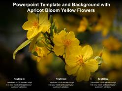 Powerpoint template and background with apricot bloom yellow flowers
