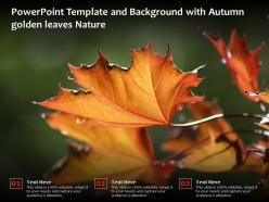 Powerpoint template and background with autumn golden leaves nature