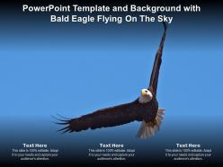 Powerpoint template and background with bald eagle flying on the sky