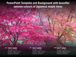Powerpoint Template And Background With Beautiful Autumn Colours Of Japanese Maple Trees