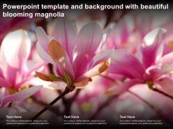 Powerpoint template and background with beautiful blooming magnolia