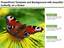 Powerpoint template and background with beautiful butterfly on a flower