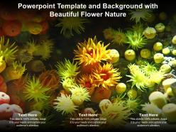 Powerpoint template and background with beautiful flower nature