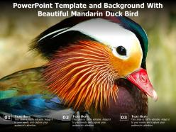 Powerpoint template and background with beautiful mandarin duck bird