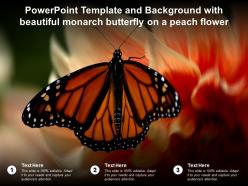 Powerpoint template and background with beautiful monarch butterfly on a peach flower