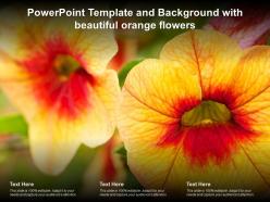 Powerpoint template and background with beautiful orange flowers