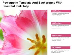 Powerpoint Template And Background With Beautiful Pink Tulip