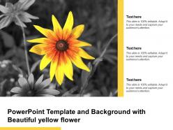 Powerpoint template and background with beautiful yellow flower
