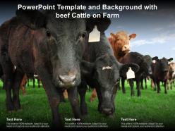 Powerpoint template and background with beef cattle on farm