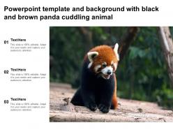 Powerpoint template and background with black and brown panda cuddling animal