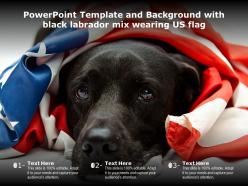 Powerpoint template and background with black labrador mix wearing us flag