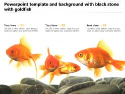 Powerpoint template and background with black stone with goldfish