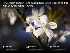Powerpoint template and background with blossoming tree with beautiful white flowers