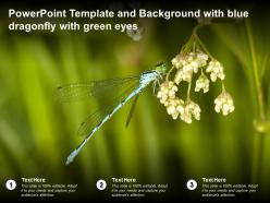 Powerpoint template and background with blue dragonfly with green eyes