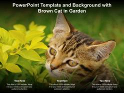 Powerpoint template and background with brown cat in garden