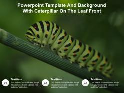 Powerpoint template and background with caterpillar on the leaf front