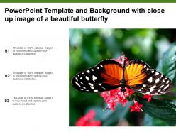 Powerpoint template and background with close up image of a beautiful butterfly