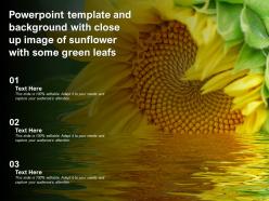 Powerpoint template and background with close up image of sunflower with some green leafs