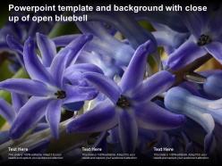 Powerpoint template and background with close up of open bluebell