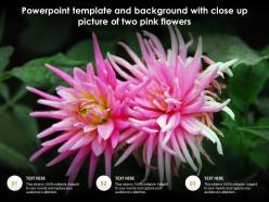 Powerpoint template and background with close up picture of two pink flowers