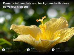 Powerpoint template and background with close up yellow hibiscus