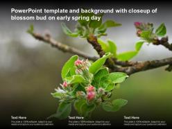 Powerpoint template and background with closeup of blossom bud on early spring day