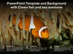 Powerpoint template and background with clown fish and sea anemone