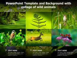 Powerpoint template and background with collage of wild animals