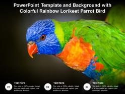 Powerpoint template and background with colorful rainbow lorikeet parrot bird