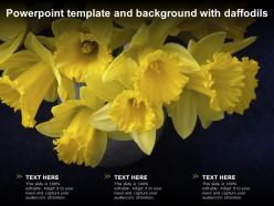 Powerpoint template and background with daffodils