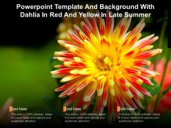 Powerpoint template and background with dahlia in red and yellow in late summer