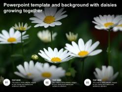 Powerpoint template and background with daisies growing together