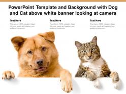 Powerpoint template and background with dog and cat above white banner looking at camera