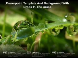 Powerpoint template and background with drops in the grass