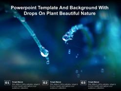Powerpoint template and background with drops on plant beautiful nature