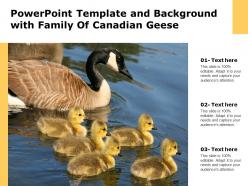 Powerpoint template and background with family of canadian geese