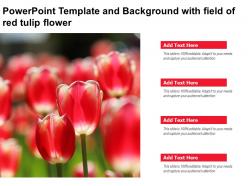 Powerpoint Template And Background With Field Of Red Tulip Flower