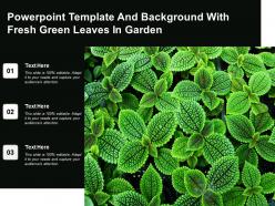 Powerpoint template and background with fresh green leaves in garden
