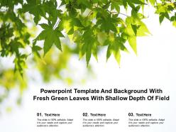 Powerpoint template and background with fresh green leaves with shallow depth of field