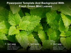 Powerpoint template and background with fresh green mint leaves