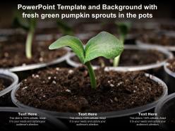Powerpoint template and background with fresh green pumpkin sprouts in the pots