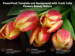 Powerpoint template and background with fresh tulip flowers beauty nature