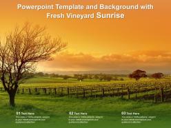 Powerpoint template and background with fresh vineyard sunrise