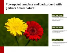 Powerpoint template and background with gerbera flower nature